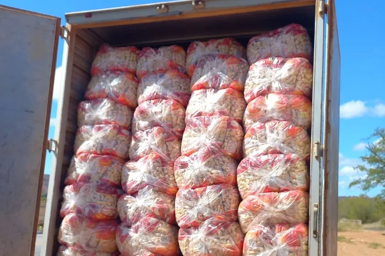 2ª CIPRv apreende mercadorias sem nota fiscal na BA-262 em Brumado