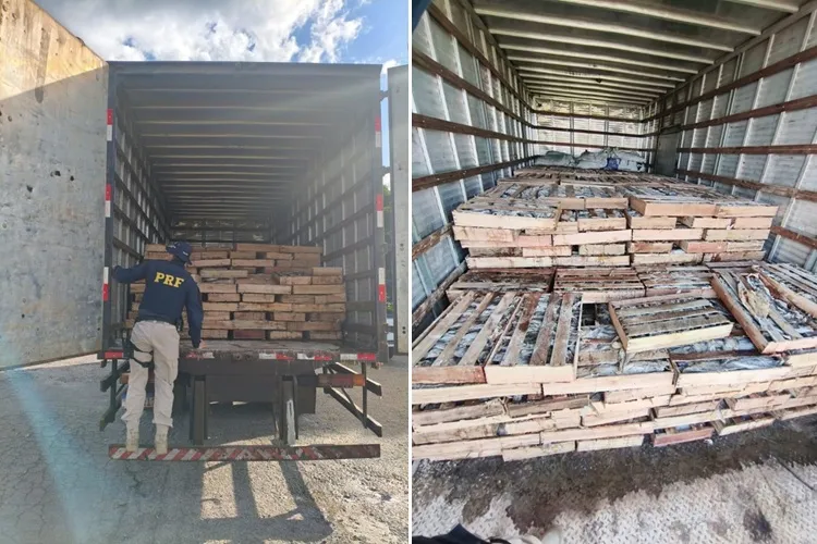 PRF apreende 9 toneladas de peixe transportado de forma irregular em Milagres