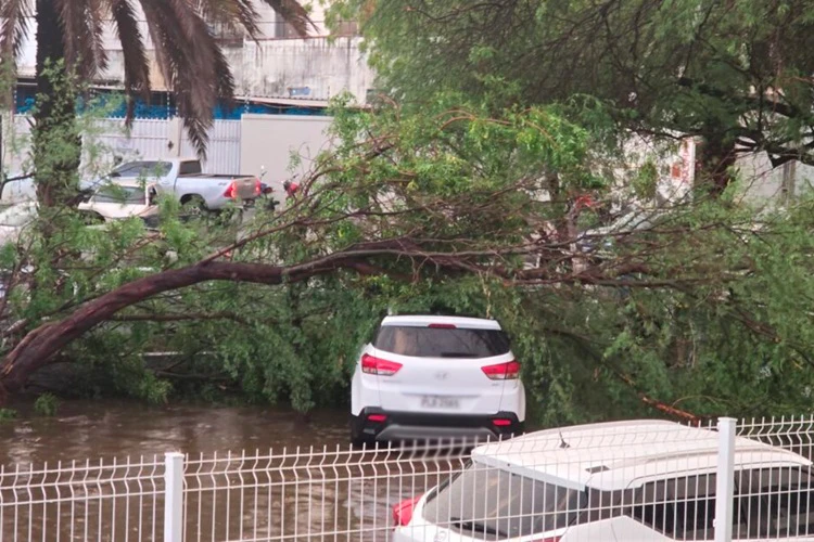 Temporal derruba árvores, alaga ruas e interrompe energia em Guanambi