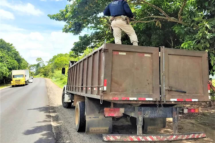 Jequié: PRF apreende carga de madeira transportada ilegalmente