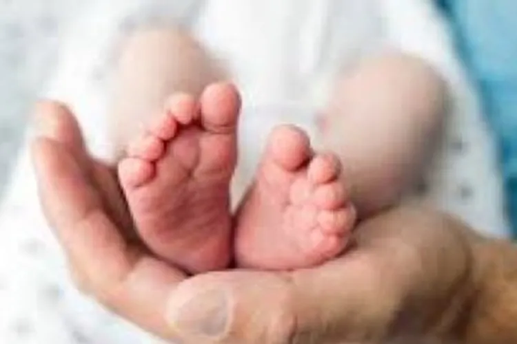 Miguel e Helena são os nomes mais registrados em 2023