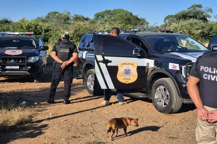 VÍDEO: Polícia Civil desarticula esquema de tráfico de drogas em Palmas de Monte Alto