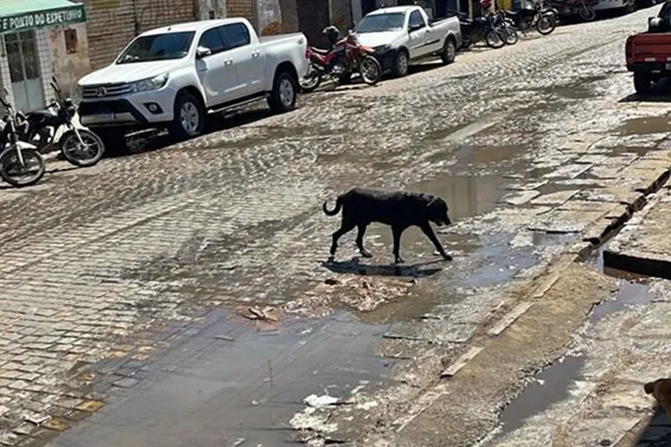Esgoto estourado causa transtornos na feira livre em Livramento de Nossa Senhora