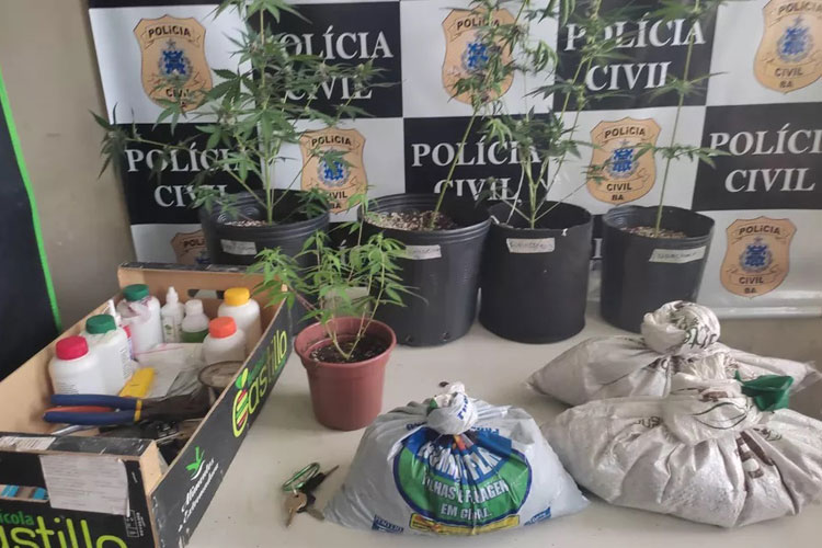Homem é preso por manter estufa de maconha em apartamento e publicar imagem nas redes sociais