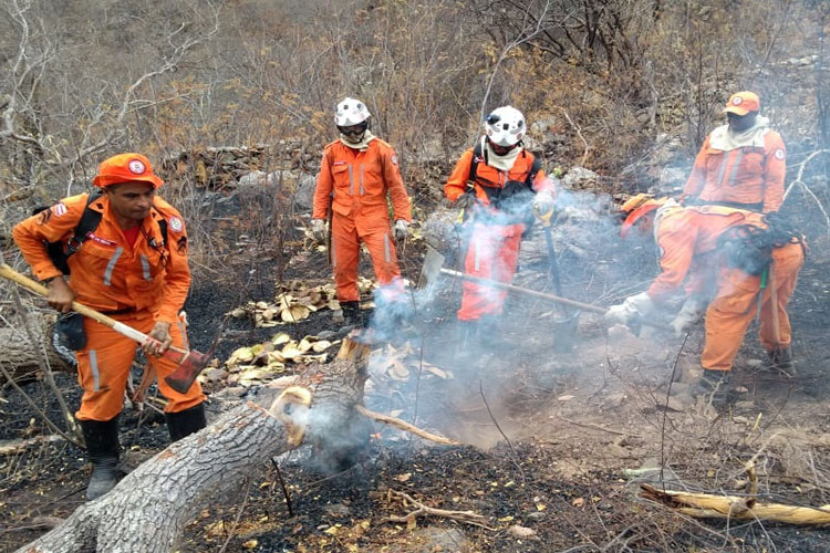 Bombeiros controlam incêndio na Serra de Maria Roxa em Paramirim