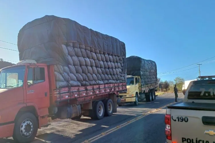 Cippa apreende carga ilegal com 1800 sacos de carvão vegetal em Riacho de Santana