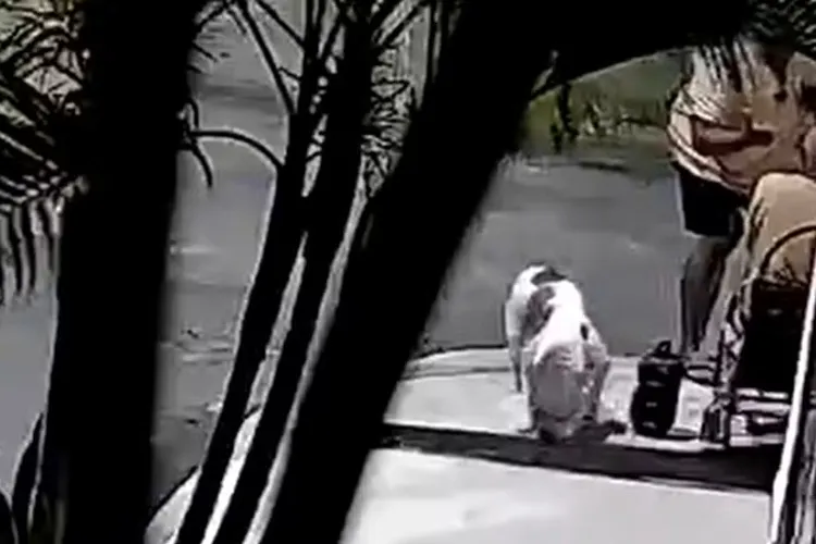 VÍDEO: Idoso é agredido após reclamar de fezes de cachorro em Paulo Afonso