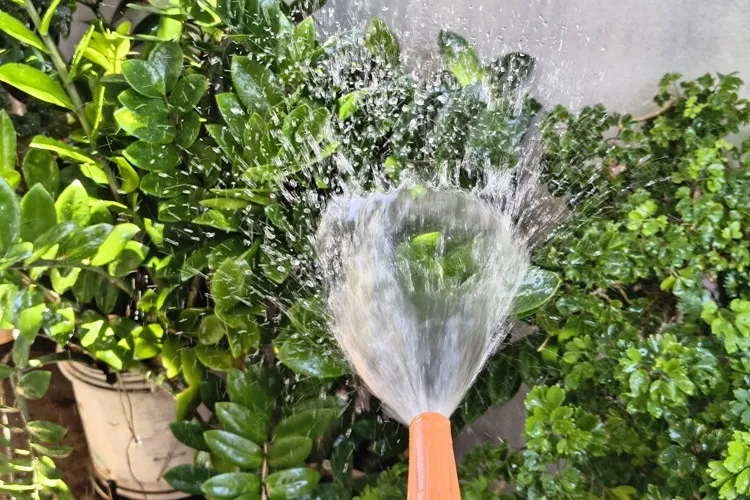 Trata Brasil faz alerta de desabastecimento e racionamento prolongado de água