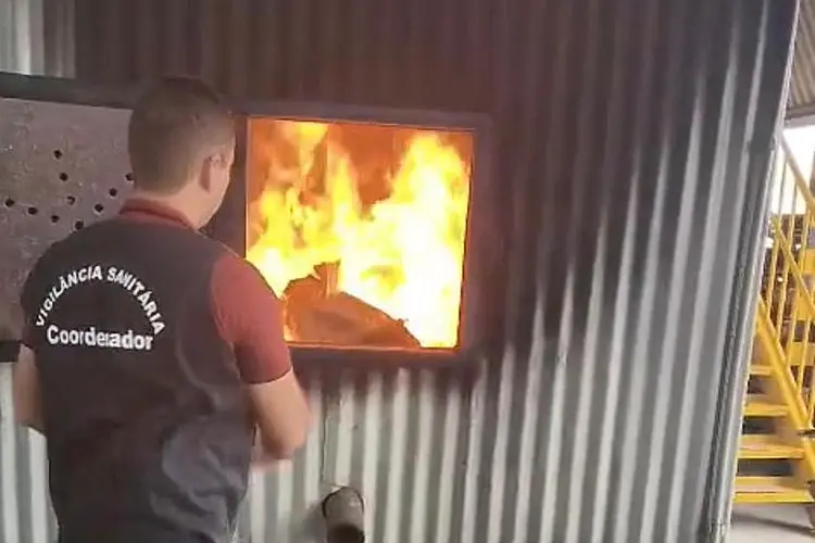 Polícia Civil queima 55 kg de drogas apreendidas em Cândido Sales