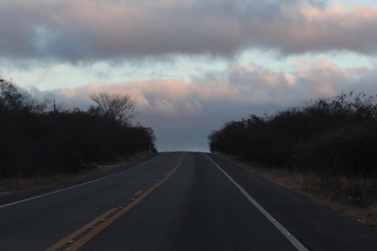 Cândido Sales: Ciclista de 32 anos morre atropelado após dormir em rodovia