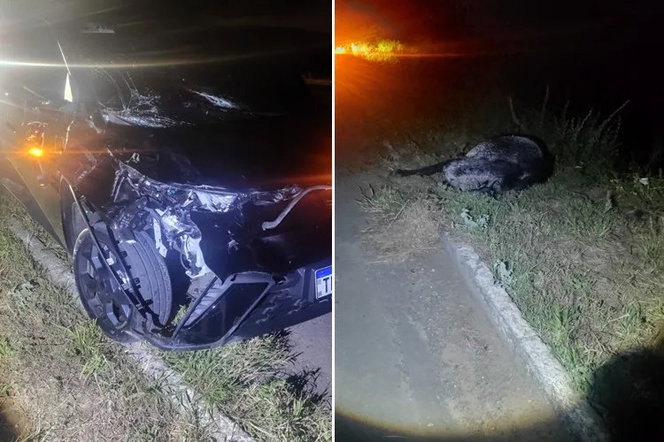 Acidente com animal na pista deixa condutor ferido na BR-349 em Bom Jesus da Lapa