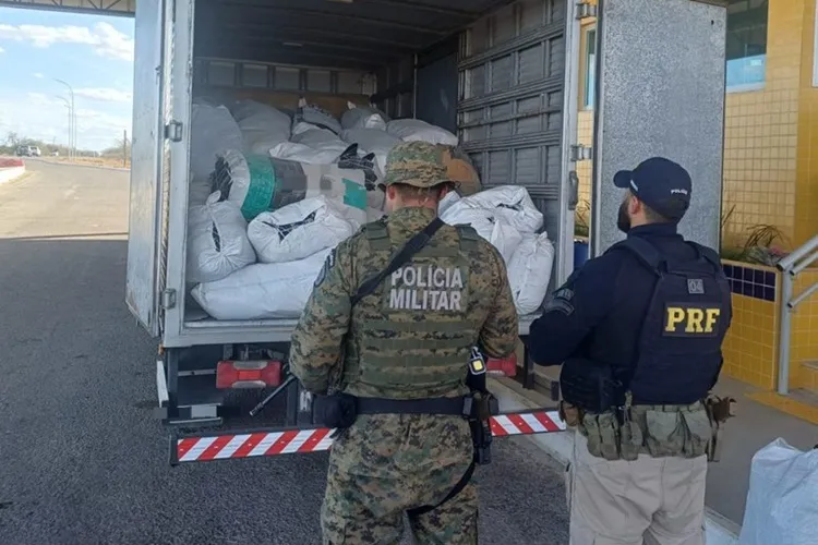 Mais de 750 kg de maconha são apreendidos pela PRF em caminhão em Juazeiro