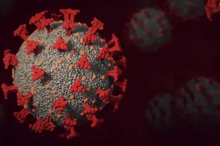 Idosa de Camaçari morre após ser infectada pela variante Arcturus da Covid-19