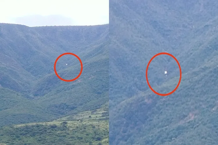 Avião cai na zona rural de Urandi