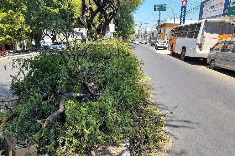 Podas de árvores atrapalham fluxo de transeuntes na Avenida Centenário em Brumado