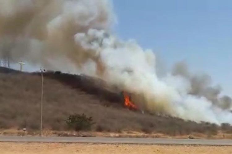 Palmas de Monte Alto: Incêndio criminoso atinge vegetação nativa e fere técnicos de telefonia móvel