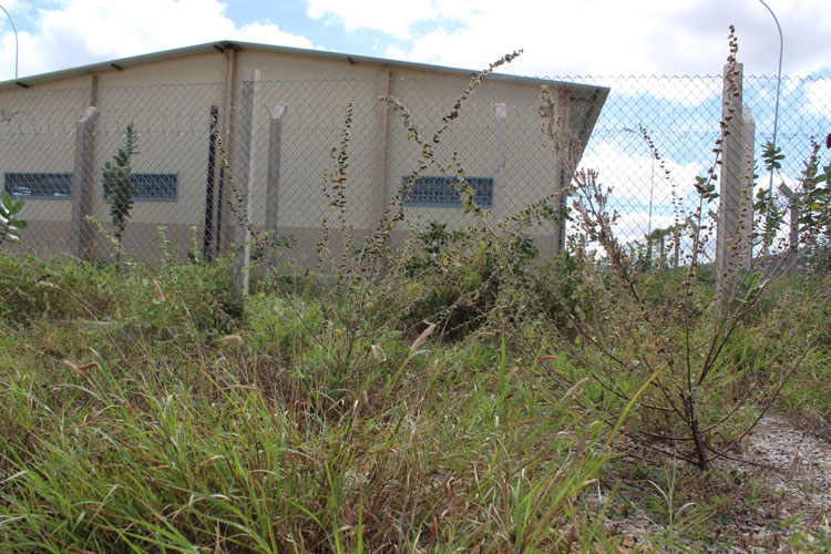 Sem perspectiva de inauguração, presídio de Brumado segue tomado pelo mato