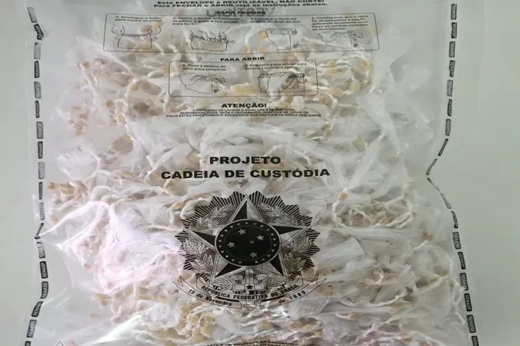 Ibicuí: Polícia Civil apreende droga avaliada em R$ 50 mil escondidas em terreno