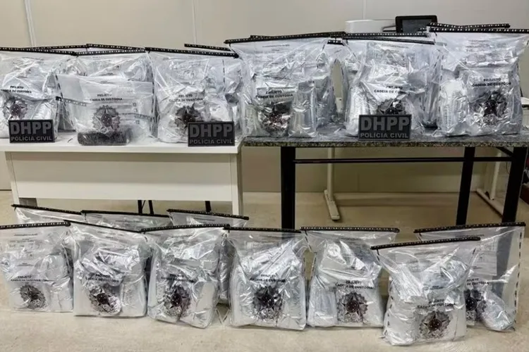 Polícia Civil prende homem com 80 kg de cocaína na cidade de Santo Estevão