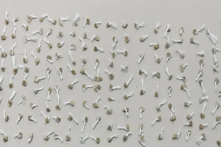 78ª CIPM apreende drogas e conduz um suspeito em Vitória da Conquista