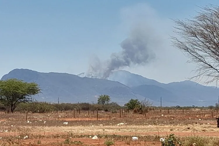 Incêndio em área de vegetação é registrado em Livramento de Nossa Senhora