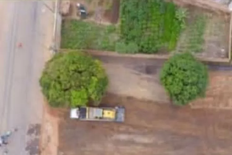 Prefeitura derruba árvores para montar palco de festa em Livramento de Nossa Senhora