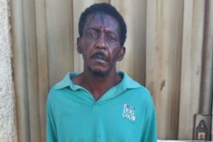 Caetité: Homem é preso após tentar matar cunhada e sogra com golpes de faca e pauladas