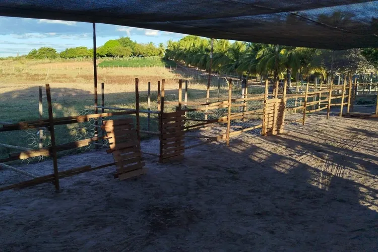 Malhada de Pedras: Lagoa das Cacimbas promove a Feira da Agricultura Familiar