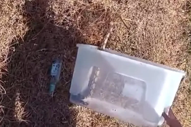 20º BBM resgata jiboia em residência no bairro Beira Rio em Bom Jesus da Lapa