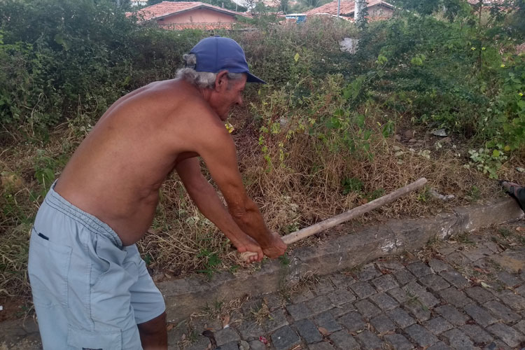 Brumado: Matagal e lixo na linha férrea têm atraído animais peçonhentos às residências na Virgílio Ataíde