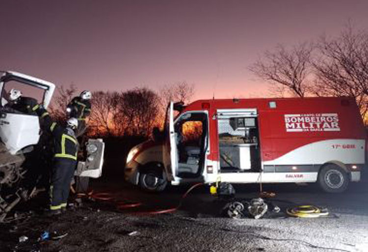 Motorista morre após batida entre duas carretas em Muquém do São Francisco