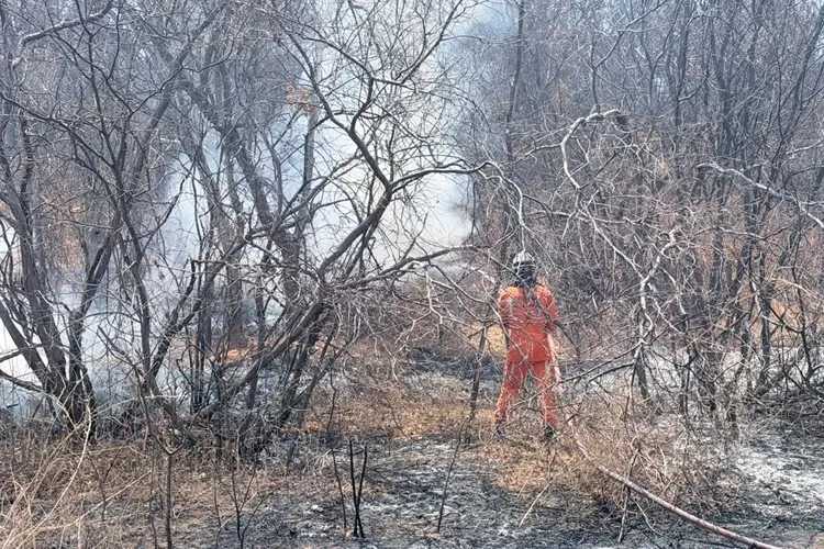 Incêndio atinge vegetação e ar-condicionado de ônibus na BA-160 em Bom Jesus da Lapa