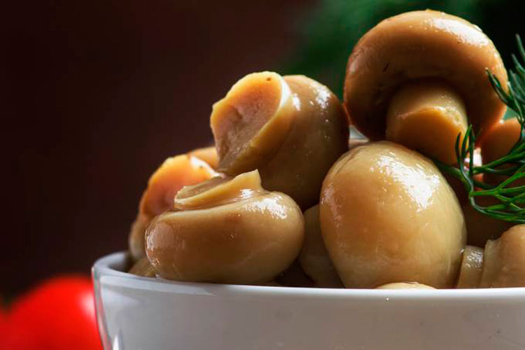 Cogumelos podem prevenir perda de memória