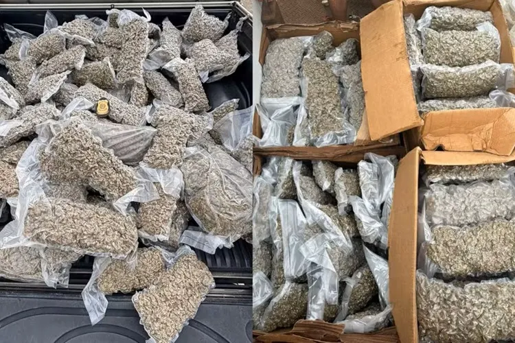 Homem é preso com mais de 100 kg de maconha em Itabela