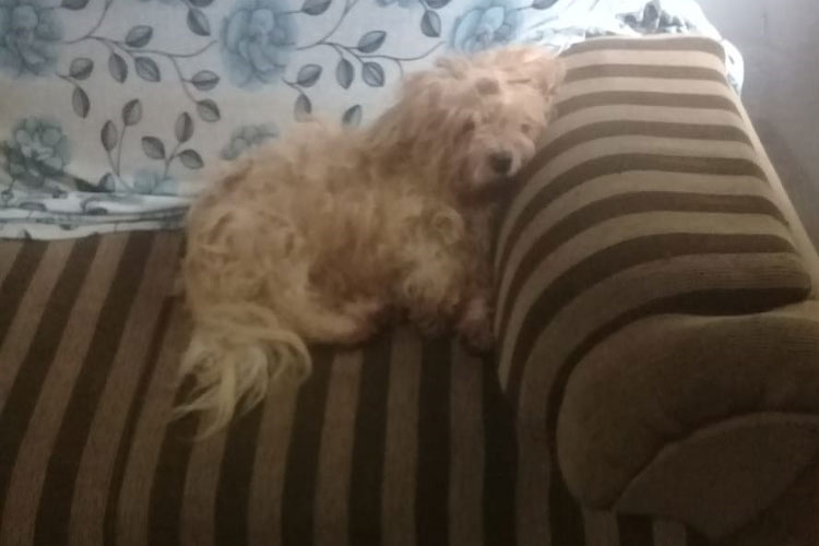 Casa desaba e moradora perde tudo durante forte chuva em Brumado