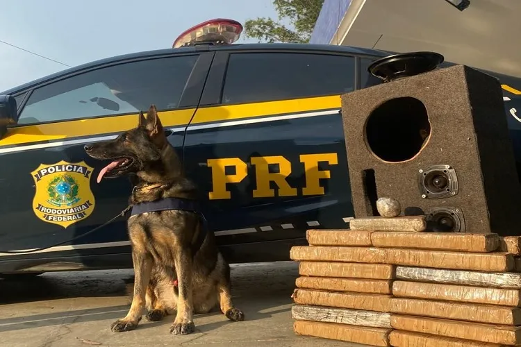 PRF faz nova apreensão de 29 kg de drogas em caixa de som em Vitória da Conquista