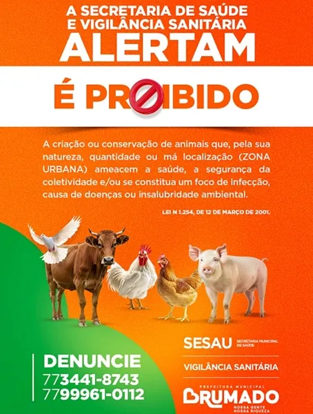 Brumado: Vigilância Sanitária alerta sobre proibição de criação de animais em zona urbana