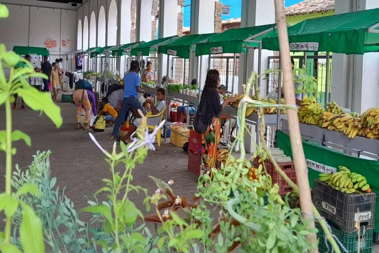 Feira da Agricultura Familiar de Lençóis agrada turistas e garante renda para as famílias