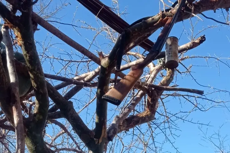 Caçador é encontrado morto com galho atravessado na região femoral em Jacaraci