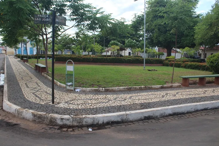 Dom Basílio promove castração para controle de animais errantes