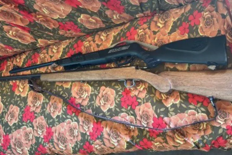 Suspeito ostentava rifle em zona rural e tem armas apreendidas em Barra da Estiva