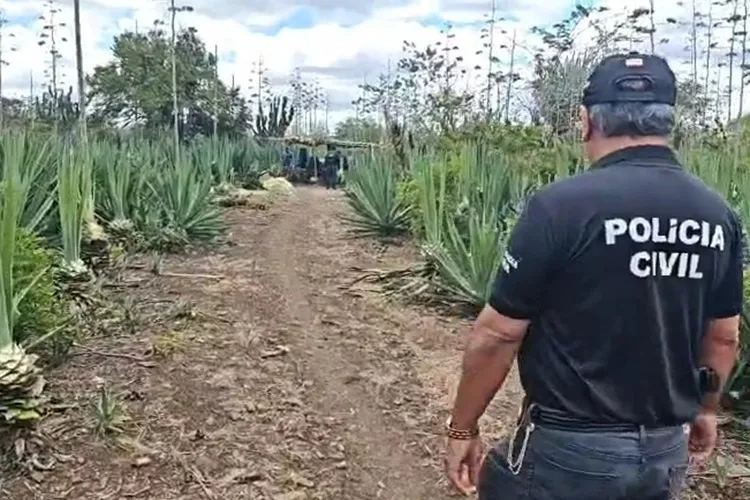 Suspeito de estupro de vulnerável contra filha é preso em Araci