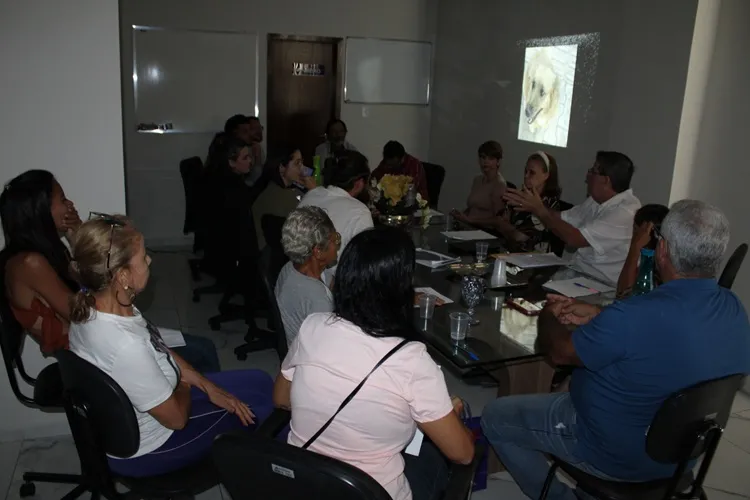 Projeto visa Centro de Acolhimento para abrigo de animais errantes em Brumado