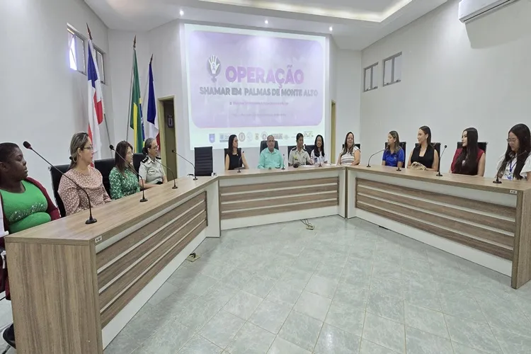 Workshop no combate à violência contra as mulheres em Palmas de Monte Alto