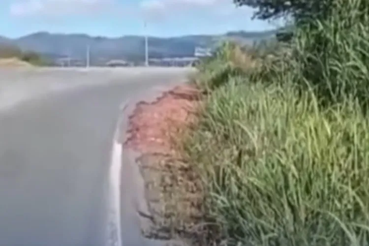 BA-156 que liga Macaúbas a Ibipitanga apresenta diversos problemas estruturais