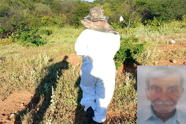 Idoso de 84 anos morre ao tentar fugir de enxame de abelhas em Brumado