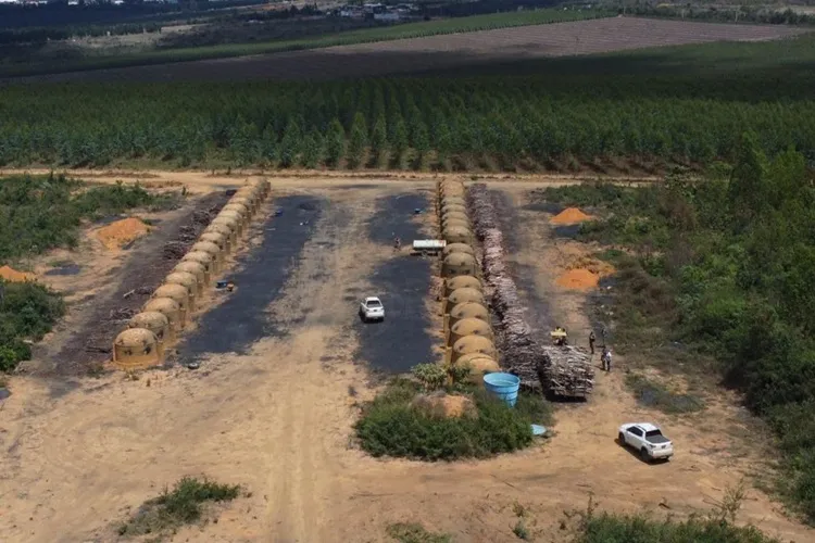 Sudoeste baiano é alvo de fiscalização que identificou 205 hectares de desmatamento