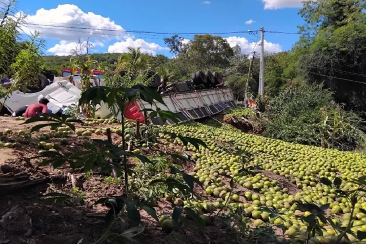 Motorista de carreta carregada com laranjas morre após acidente em Licínio de Almeida