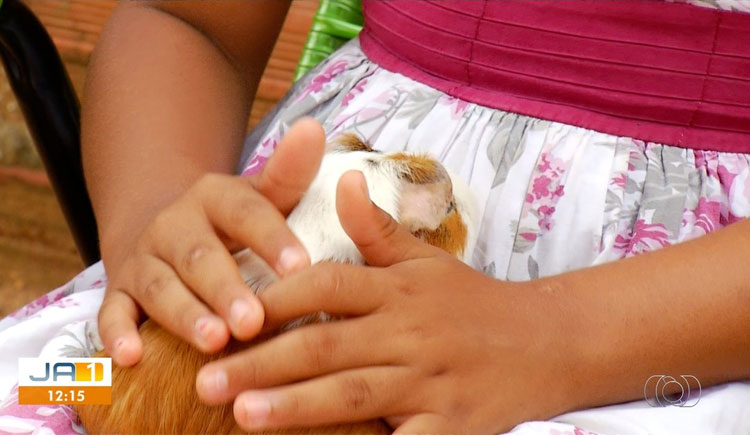 Mãe descobre que filhas foram vítimas do mesmo homem que abusou dela na infância