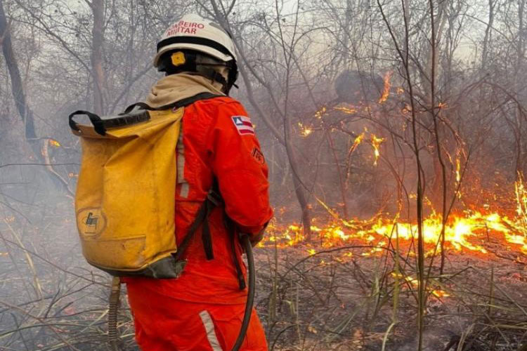 Bombeiros e brigadistas controlam fogo em Lençóis